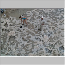 100_0848 (2009-27-07).JPG